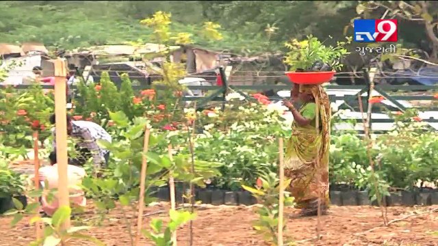 VMC transformed dumping site into urban forest, Replaced solid waste with plants and trees,Vadodara