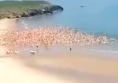 More Than 2,500 Women Skinny Dip in Irish Sea, Breaking World Record