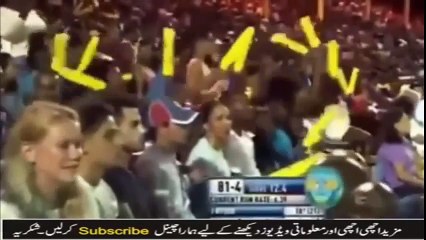 Shadab Khan Bowling To Rakheem Cornwell In CPL 2017