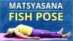 How To Do FISH POSE | Step By Step Matsyasana | Yoga For BEGINNERS | Simple Yoga Lessons