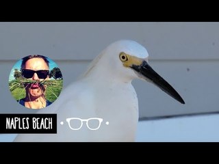 NAPLES BEACH - USA, FLORIDA