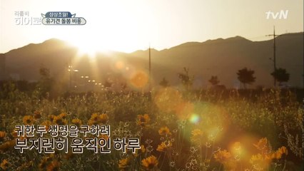 히어로의 은밀한 취미는 곤충 키우기??