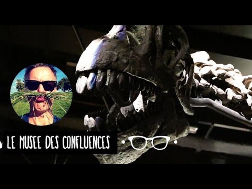 MUSEE DES CONFLUENCES - FRANCE, LYON