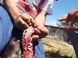 A Cook's Tour - S01E16 - Puebla Where Good Cooks Come From