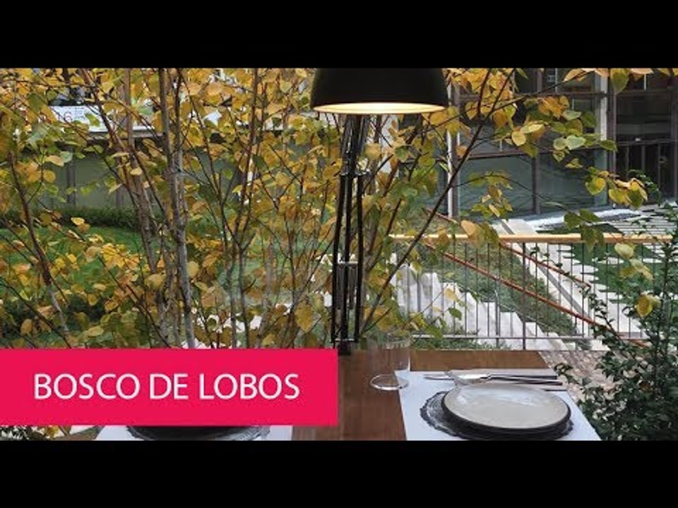 BOSCO DE LOBOS - SPAIN, MADRID