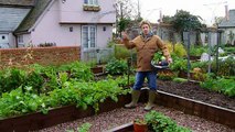 Jamie Oliver - Jamie at Home S02E03 - Winter Vegetables