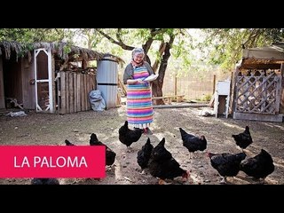 LA PALOMA - SPAIN, SANT LLORENÇ DE BALAFIA