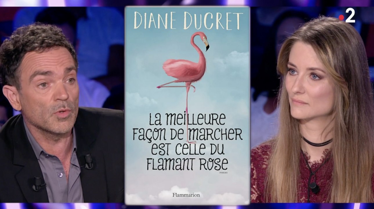 Yann Moix atomise le livre de Diane Ducret (ONPC) - ZAPPING TÉLÉ DU 11/06/2018