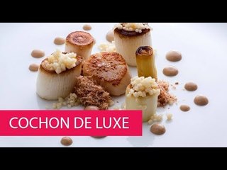 COCHON DE LUXE - BELGIUM, GENT