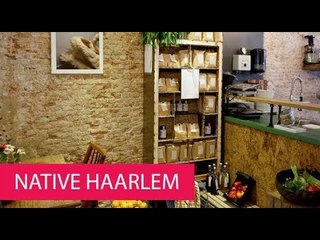 NATIVE HAARLEM - NETHERLANDS, HAARLEM