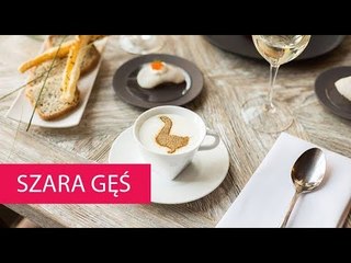 SZARA GĘŚ - POLAND, KRAKÓW