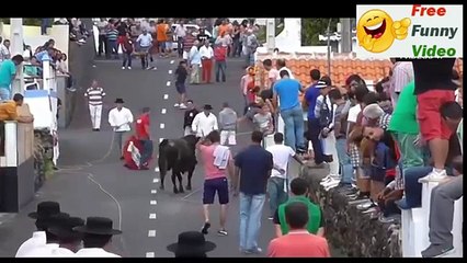 Best Funny Videos  -  Bull Fighting Funny Videos