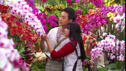 ふたりのパパ 第3話 ネコを探しに