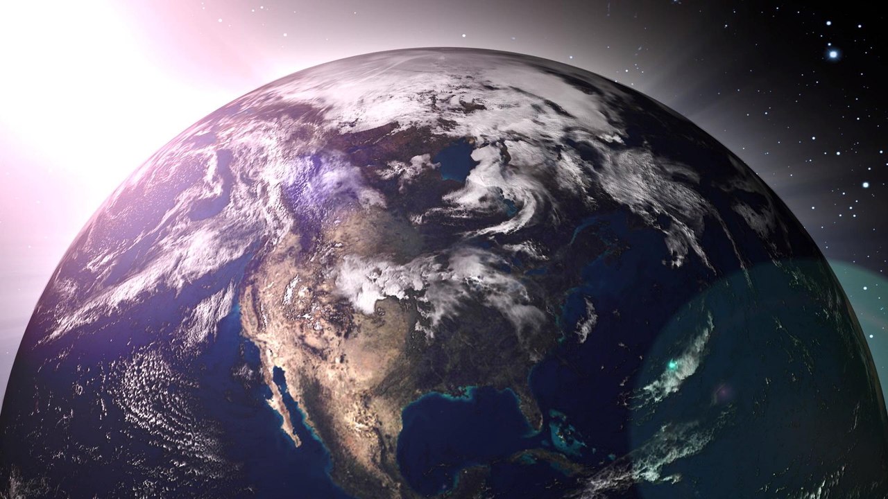 Humans Have Devastating Impact for Only Making Up 0.01% of Life on Earth