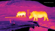 Galaxy-Hunting Tech Used to Spot Poachers, Save Endangered Animals