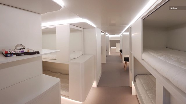 Long Flight? Napping in the Cargo Hold Could Soon be a Thing