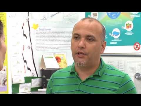 Prania e mushkonjave gjate veres, mungojne fondet per dezinsektimin e plote