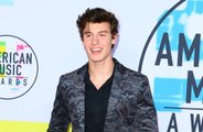 Shawn Mendes wants TV career