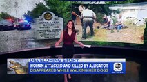 Alligator captured in suspected death of missing Florida woman