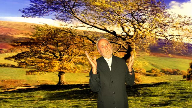 Ali Ercan - Erciyes Dağı (Official Video)