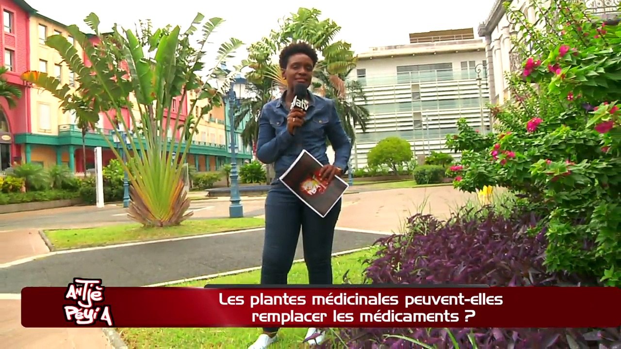 ATPA 12 06 18 PLANTES MEDICINALES MONIQUE SOIME  OK