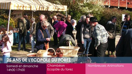 Toutes vos sorties dans la Loire!