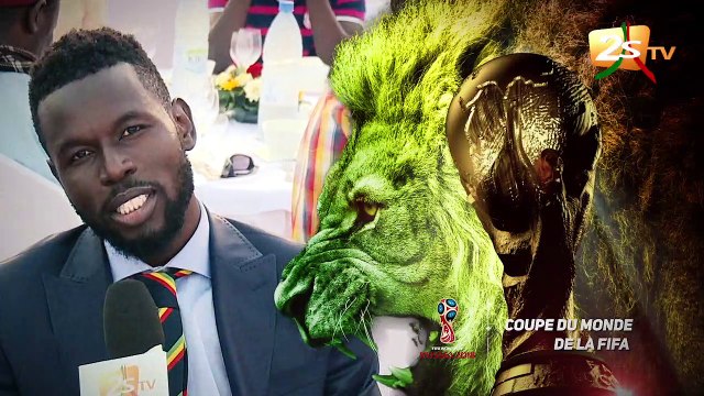 COULISSE DE LA COUPE DU MONDE SUR LA 2STV - TOUS DERRIÈRE LES LIONS