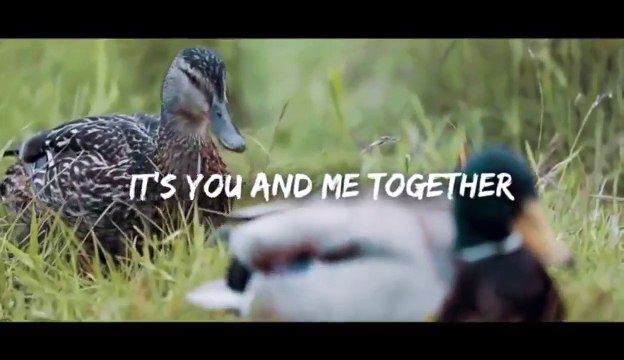 MARC, Caroline Høier - Wont Let You Down ( Lyric Video ) .