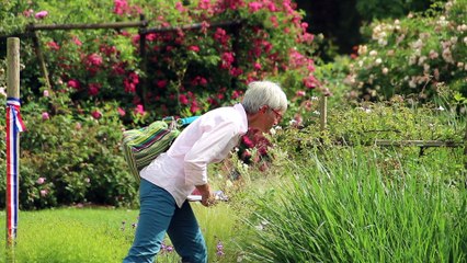 Inauguration du projet Loire en Roses
