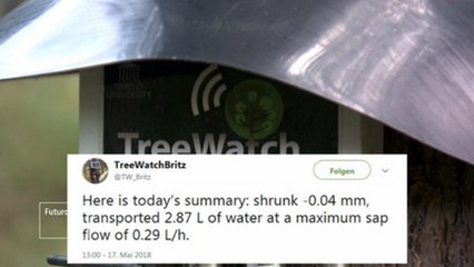 O que tuítam as árvores na Alemanha