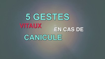 Canicule :  5 recommandations santé