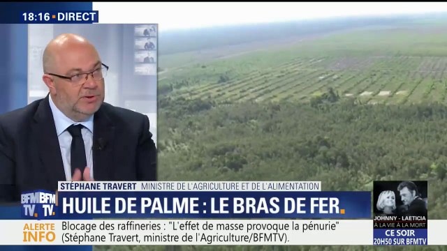 Huile de palme: Nous devons travailler à une réponse européenne , affirme Stéphane Travert