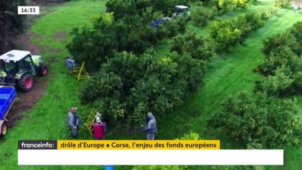 Drôle d'Europe - Corse : l'enjeu des fonds européens