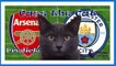 Arsenal vs Manchester City - Cass the Cat Predicts