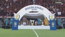 Fluminense 0 x 2 Flamengo (HD) Melhores Momentos e Gols -Brasileirão 07 06 2018