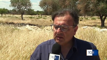 Bari: la Rai nel "quartiere dei fuochi" dove i rifiuti vengono misteriosamente bruciati