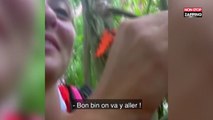 The Island Célébrités : Les candidats mangent de la pâtée pour chiens (Vidéo)