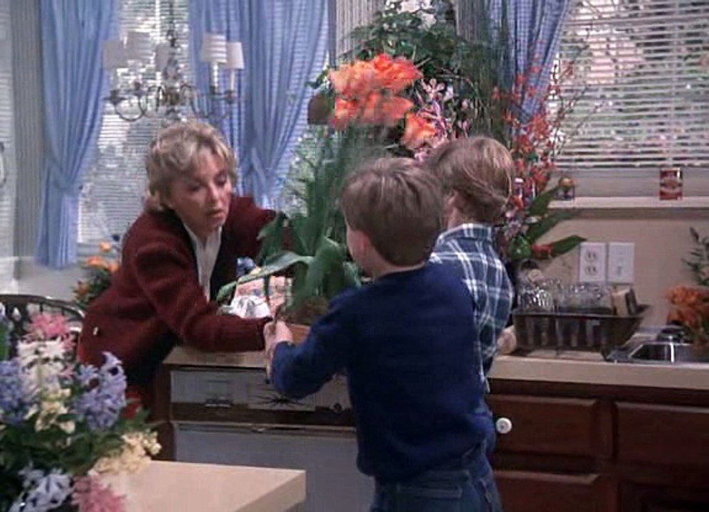 Agentin mit Herz  Staffel 02 Folge 20