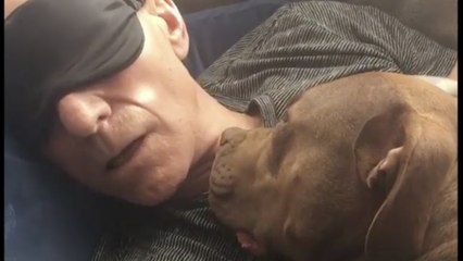 Sir Patrick Stewart Finds Love and Loyalty in His Rescue Dog 🐶 - thumbnail