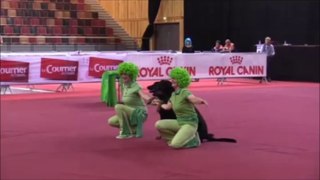 OBR, GPF 2016, Duo