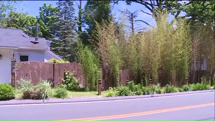 'God Got into My Bod'`: Man Accused of Brutally Beating Mother, Burning Body in Backyard