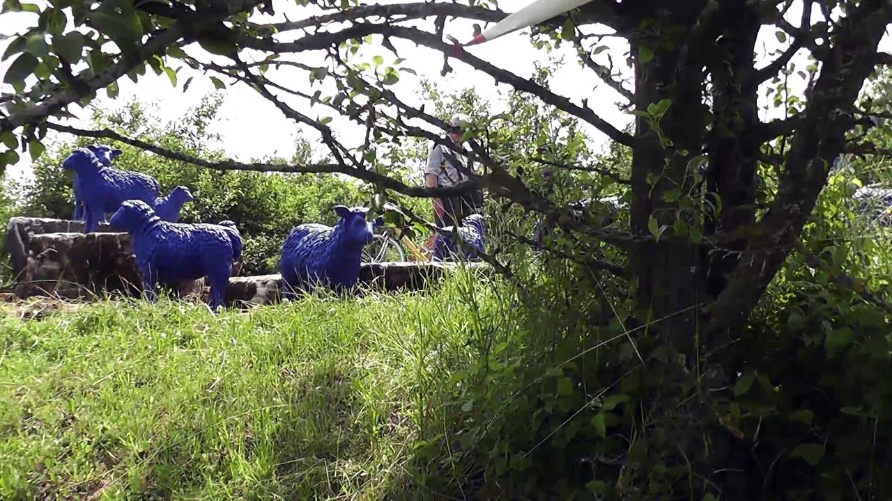 Schönbuchturm Eröffnung 09.06.2018 - Zusammenfassung