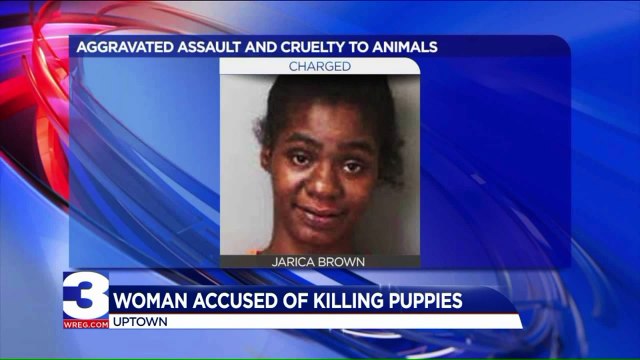 Woman Accused of Killing Puppies, Stabbing Boyfriend During Argument