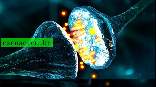 강남취업성공패키지 ezEnAc.Co.Kr 강남국비교육