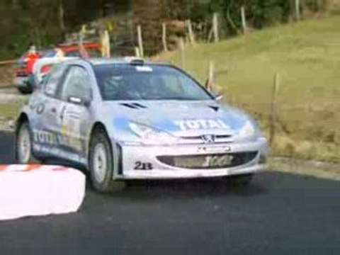 telethon 2007 a montagnole(73) 206 wrc