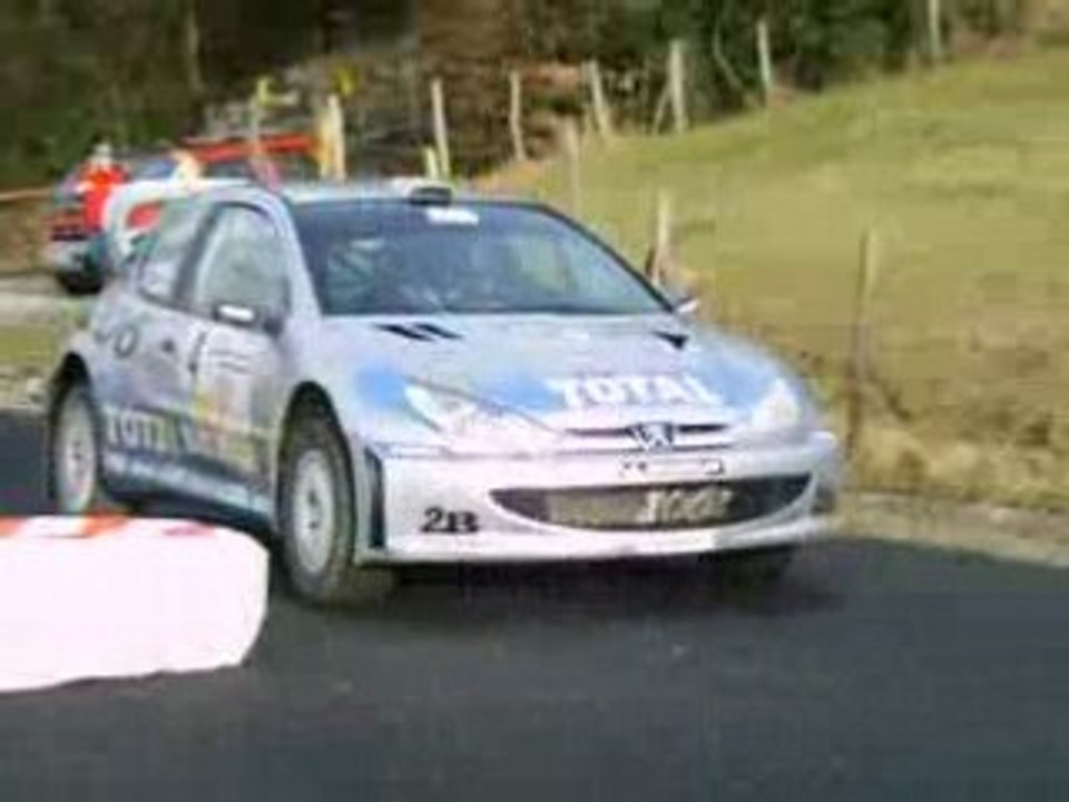 telethon 2007 a montagnole(73) 206 wrc