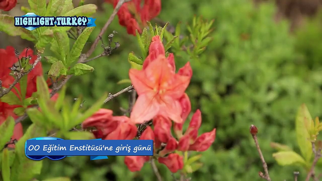 Rea.dy Plyr - HIGHLIGHT 2.bölüm [Türkçe Altyazılı / Turkish Sub]