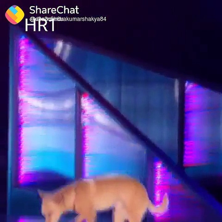 VID-20180526-WA0004