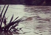 Backyard Flooded After Severe Weather Lashes Gisborne