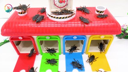 There's a little bus TAYO. There's a cockroach in town.